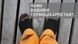 Шкарпетки Lasting WLS 002.003.3953 фото 3