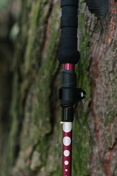 Трекінгові палиці Tribe Z-Pole Alu T-ME-0024-plum
