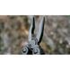 Мультитул Multi Tool Ganzo G103 G103 фото 21