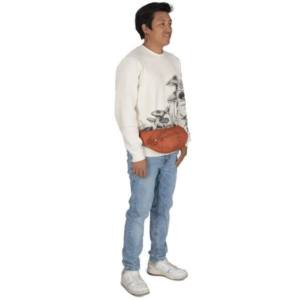 Поясна сумка Osprey Daylite Waist