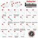 Мультитул Multi Tool Ganzo G201-B G201-B фото 8