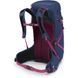 Рюкзак Osprey Sportlite 30 009.4082 фото 3