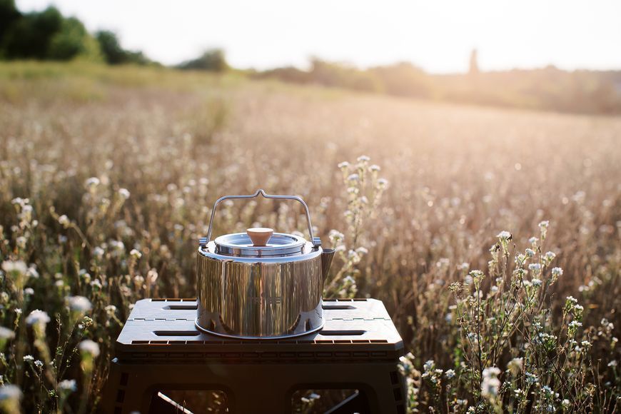 Чайник Tribe Kettle 1,2 л сталевий T-FI-0010-metal T-FI-0010-metal фото