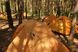 Намет надлегкий двомісний з футпринтом Naturehike Star-River 2 Updated NH17T012-T, 210T, помаранчевий 6927595716519 фото 5
