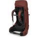 Рюкзак Osprey Aether 55 009.4025 фото 2