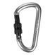 Брелок Salewa D-Shape Carbiner with screw 013.003.1434 фото