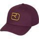 Кепка Ortovox Logo Flex Cap 025.001.0249 фото 1