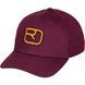 Кепка Ortovox Logo Flex Cap 025.001.0249 фото 2