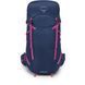 Рюкзак Osprey Sportlite 30 009.4166 фото 2