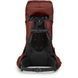 Рюкзак Osprey Aether 65 009.4024 фото 3
