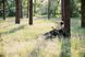 Спальний мішок Totem Fisherman ковдра лівий olive 180+40/75 UTTS-012 UTTS-012-L фото 6