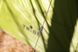 Намет санітарний Tribe Shower Pro T-AC-0001-olive T-AC-0001-olive фото 23