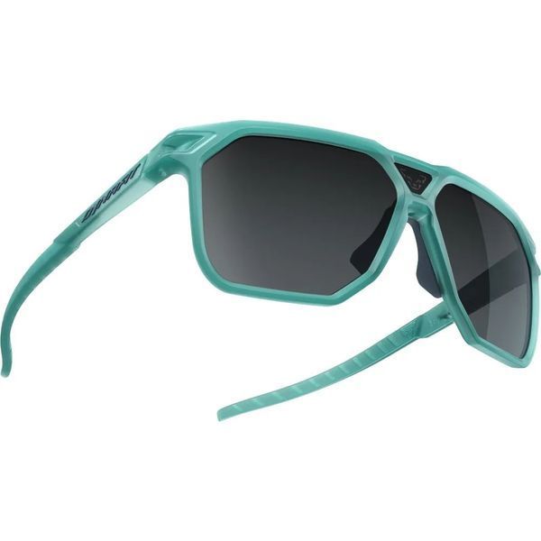 Окуляри Dynafit Traverse Sunglasses 016.003.0834 фото