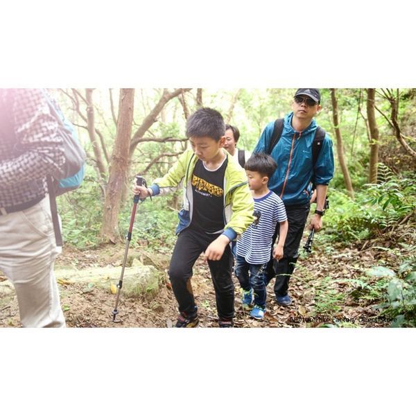 Трекінгова палиця 3-сек. Naturehike Women 6061 AL NH17D001-Z, 57-120 см, алюміній, золотиста 6975641885597 фото