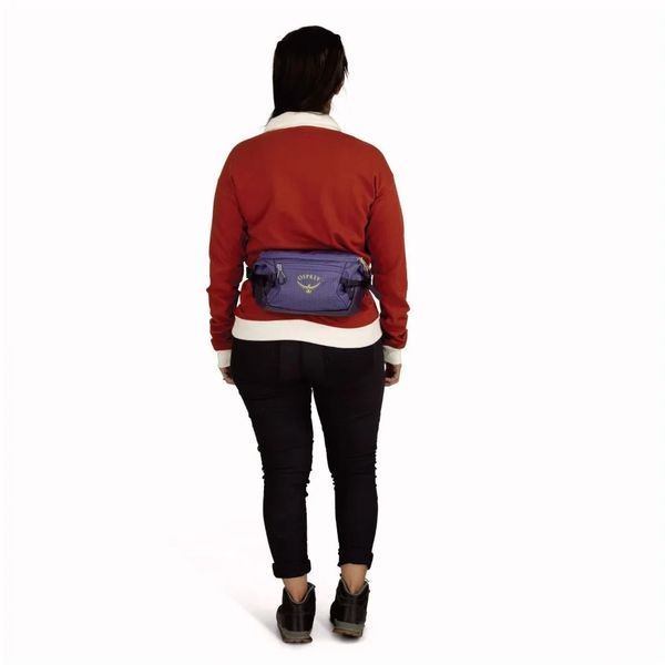 Поясна сумка Osprey Transporter Waist Pack