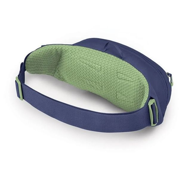 Поясна сумка Osprey Daylite Waist 009.3741 фото