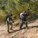 Трекінгова палиця 3-секційна Naturehike ST06 NH17D006-D, 66-135 см, зелена 6927595798249 фото 10